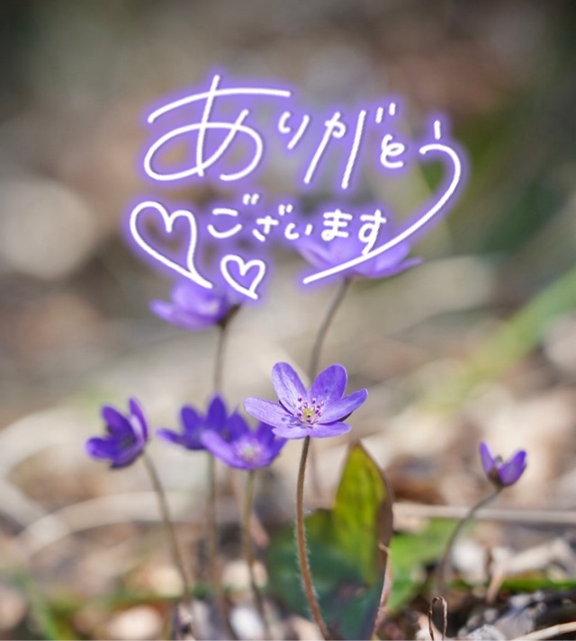 みわ