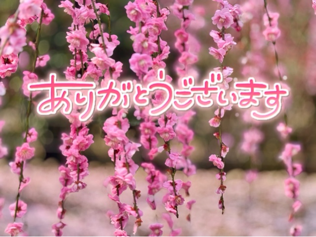 みわ