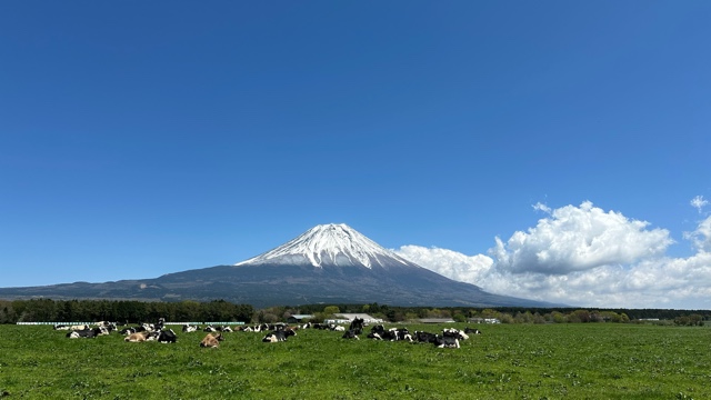 みわ