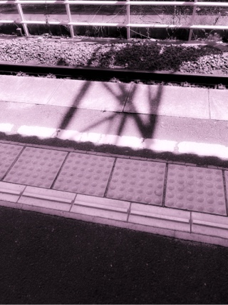 ちまこ