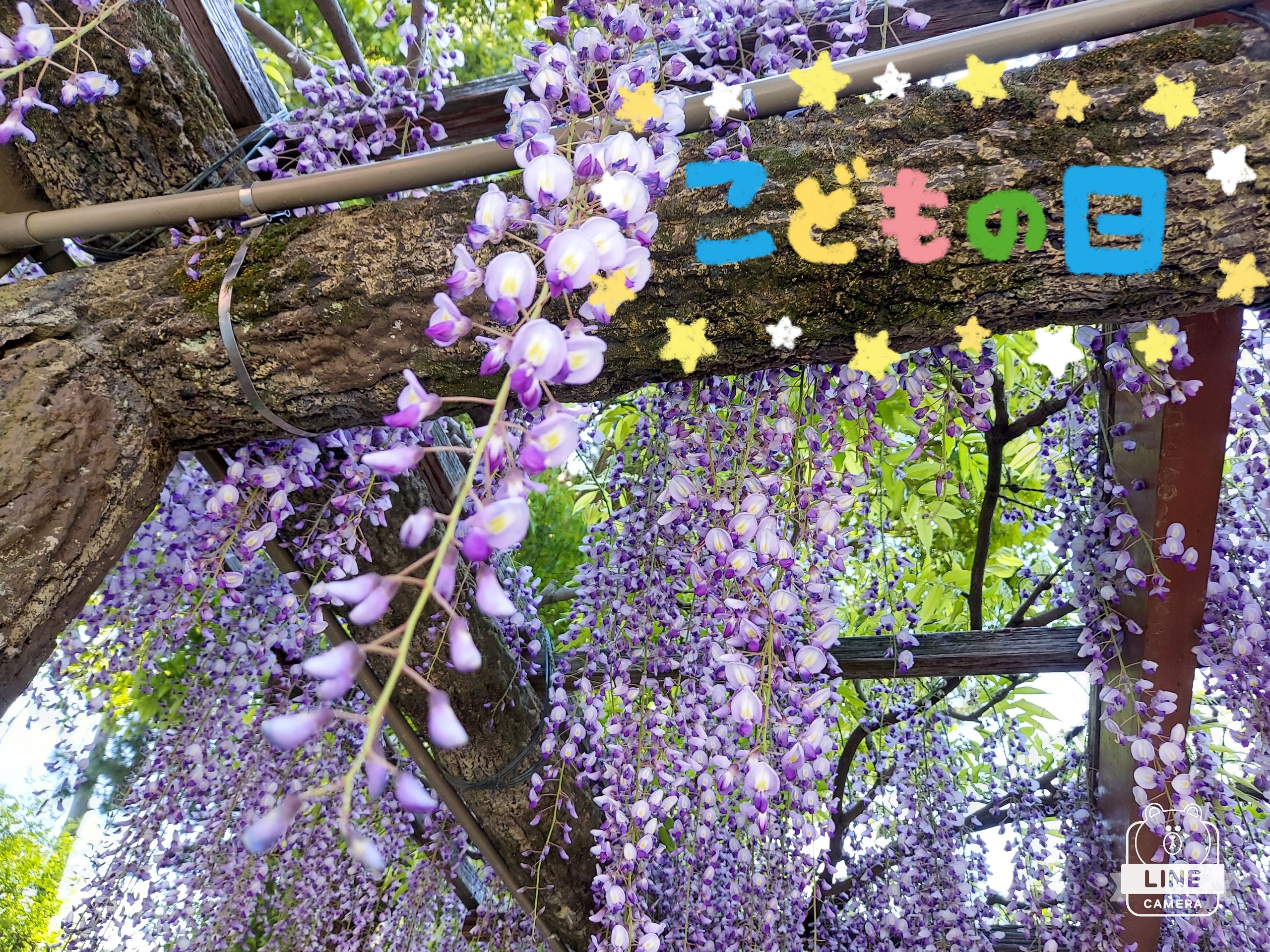 ことえ
