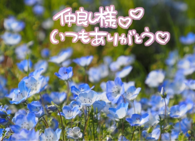 みわ