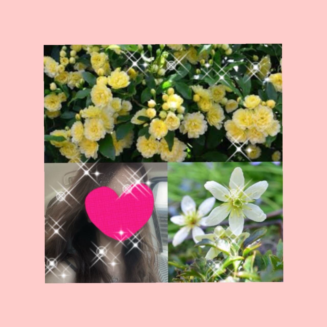 ちはる