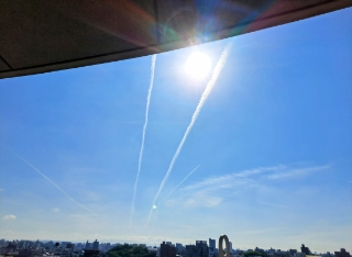 はな