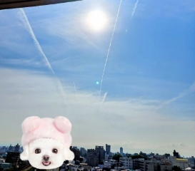 はな