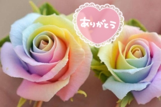 きょうか