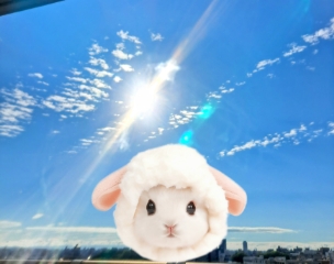 はな