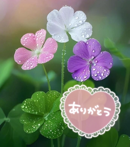 みづき