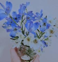 はな