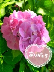みづき