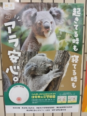 はる