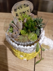 はる
