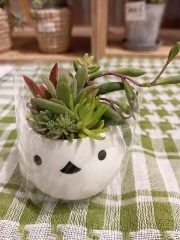 はる
