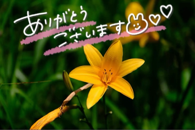 みわ
