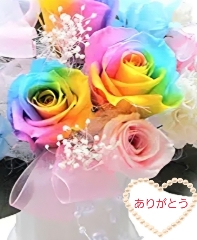 きょうか