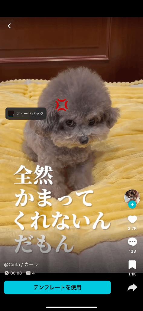 なつ